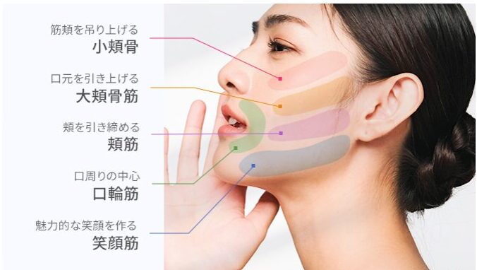 プルエスト美顔器　表情筋
